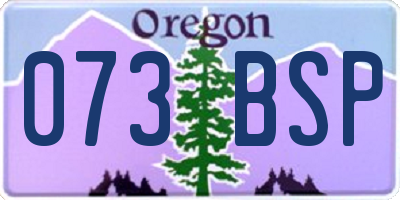OR license plate 073BSP