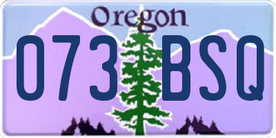 OR license plate 073BSQ