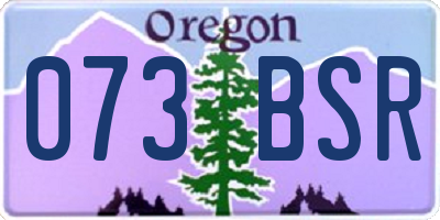 OR license plate 073BSR