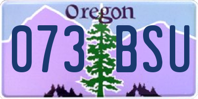 OR license plate 073BSU
