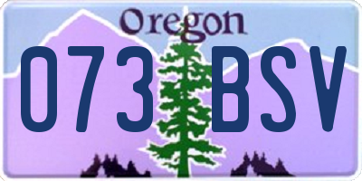 OR license plate 073BSV