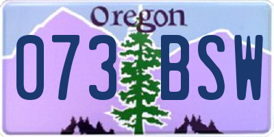 OR license plate 073BSW