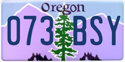 OR license plate 073BSY