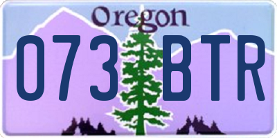 OR license plate 073BTR