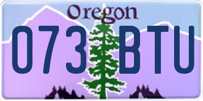 OR license plate 073BTU