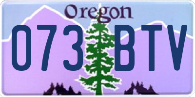 OR license plate 073BTV