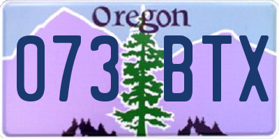 OR license plate 073BTX