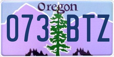 OR license plate 073BTZ