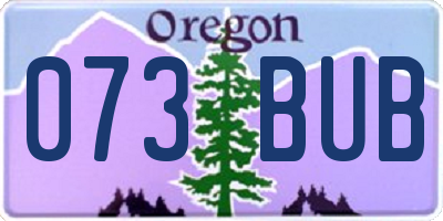 OR license plate 073BUB