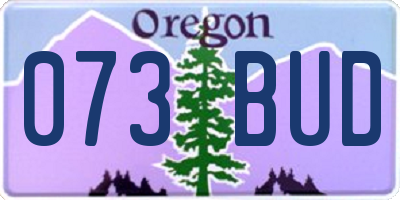 OR license plate 073BUD