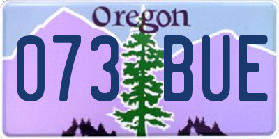 OR license plate 073BUE
