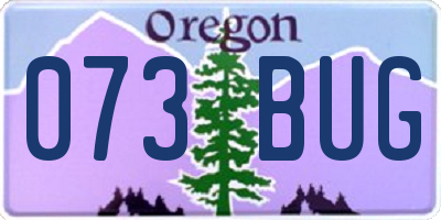 OR license plate 073BUG