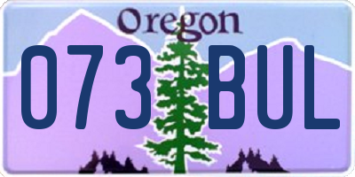 OR license plate 073BUL