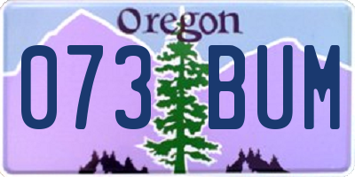 OR license plate 073BUM