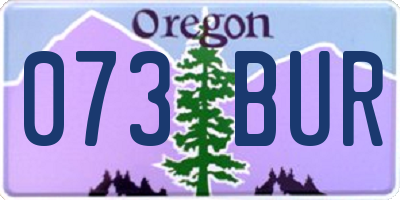 OR license plate 073BUR