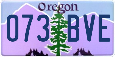 OR license plate 073BVE
