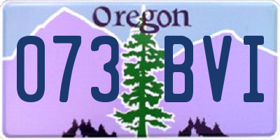 OR license plate 073BVI