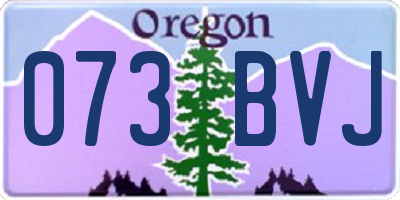 OR license plate 073BVJ