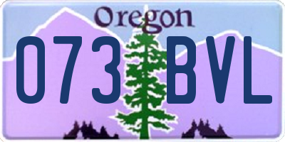 OR license plate 073BVL