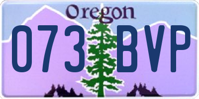 OR license plate 073BVP