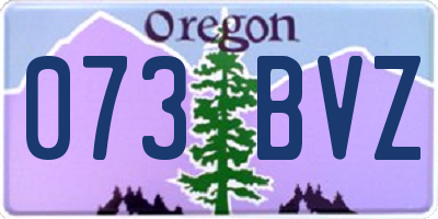 OR license plate 073BVZ