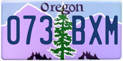 OR license plate 073BXM
