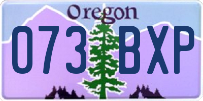 OR license plate 073BXP