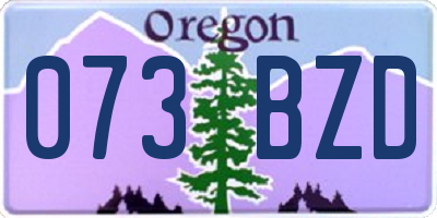 OR license plate 073BZD