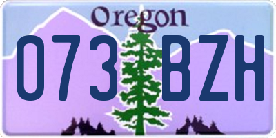 OR license plate 073BZH