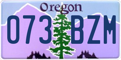 OR license plate 073BZM