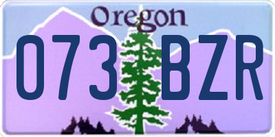 OR license plate 073BZR