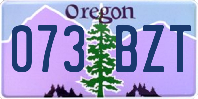 OR license plate 073BZT