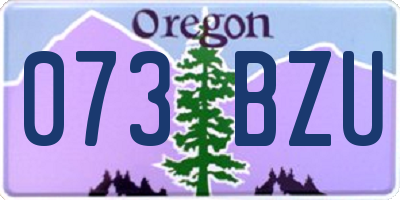 OR license plate 073BZU