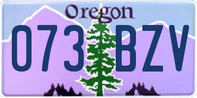 OR license plate 073BZV