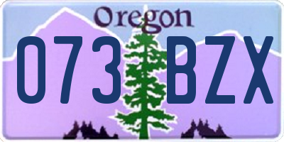 OR license plate 073BZX