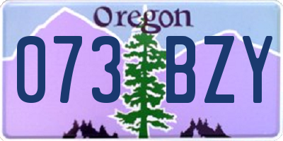 OR license plate 073BZY