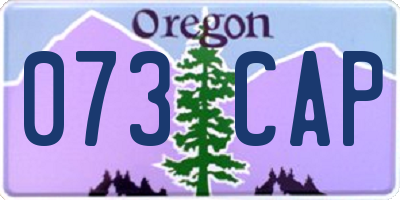 OR license plate 073CAP