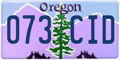 OR license plate 073CID
