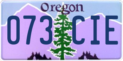 OR license plate 073CIE