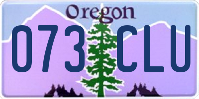OR license plate 073CLU