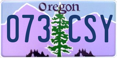 OR license plate 073CSY