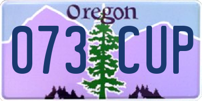 OR license plate 073CUP