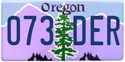 OR license plate 073DER
