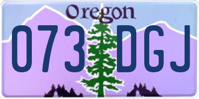 OR license plate 073DGJ