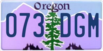 OR license plate 073DGM