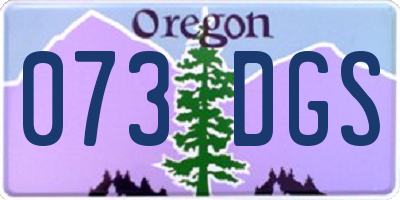 OR license plate 073DGS
