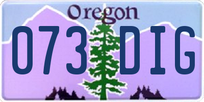 OR license plate 073DIG