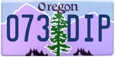 OR license plate 073DIP