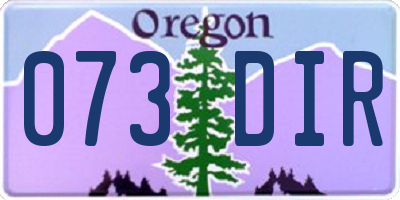 OR license plate 073DIR