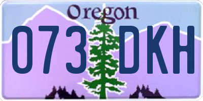 OR license plate 073DKH